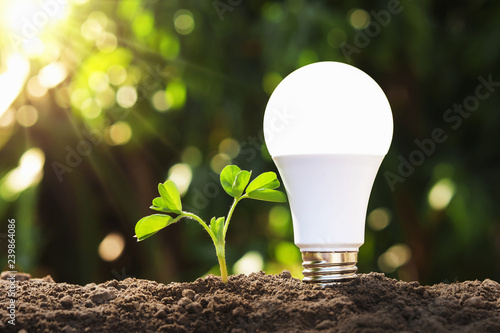 led light with young plant on soil. concept saving energy in nature photo