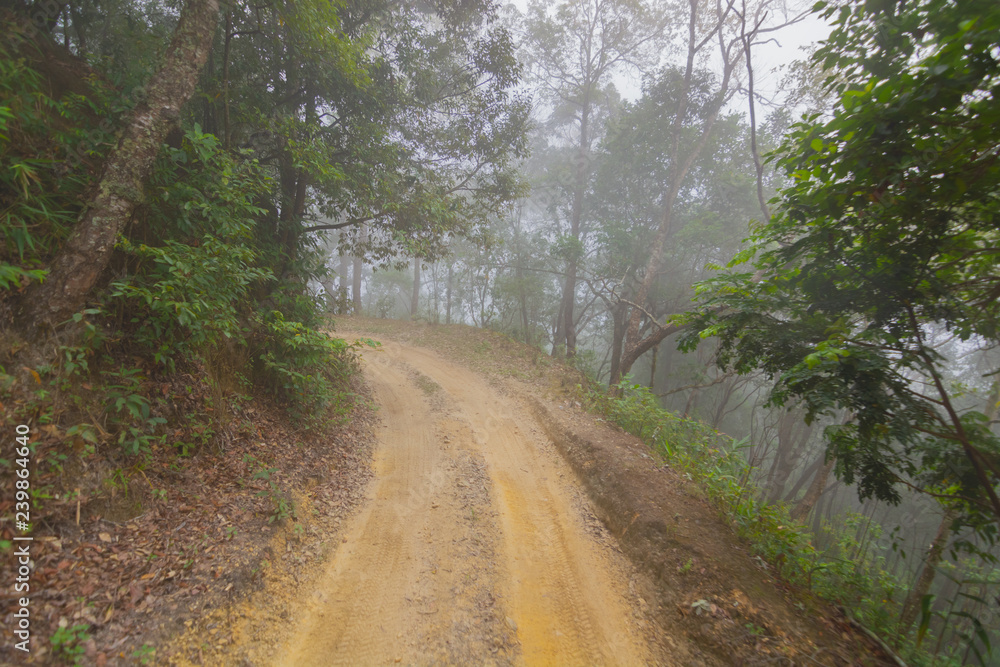 dirty dirt road through the mountain at Doi Mon Jong, Chiang Mai, Thailand dirty dirt road through the mountain at Doi Mon Jong, Chiang Mai, Thailand