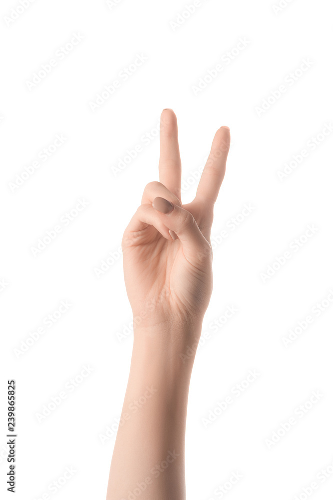 cropped view of woman showing latin letter V in deaf and dumb language isolated on white cropped view of woman showing latin letter V in deaf and dumb language isolated on white