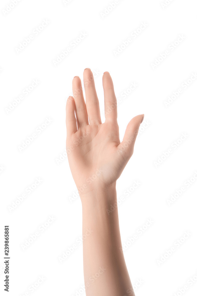 partial view of woman hand isolated on white partial view of woman hand isolated on white