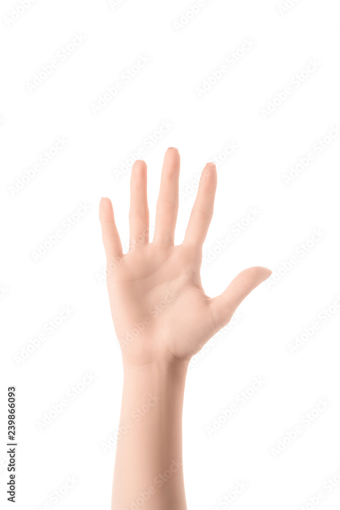 partial view of woman showing number 5 in sign language isolated on white partial view of woman showing number 5 in sign language isolated on white