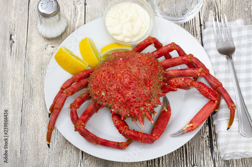 araignée de mer