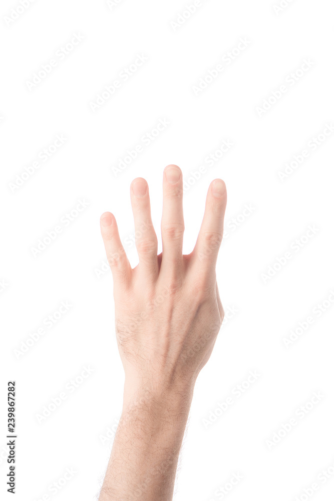 partial view of man showing number 4 in sign language isolated on white partial view of man showing number 4 in sign language isolated on white