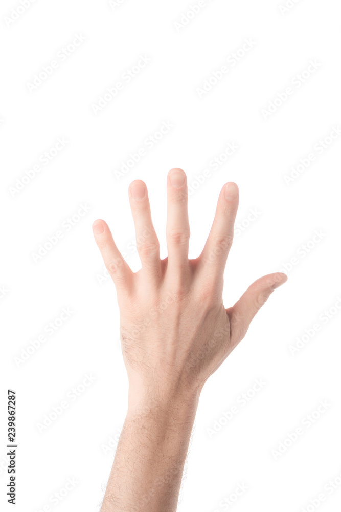 partial view of man showing number 5 in sign language isolated on white partial view of man showing number 5 in sign language isolated on white