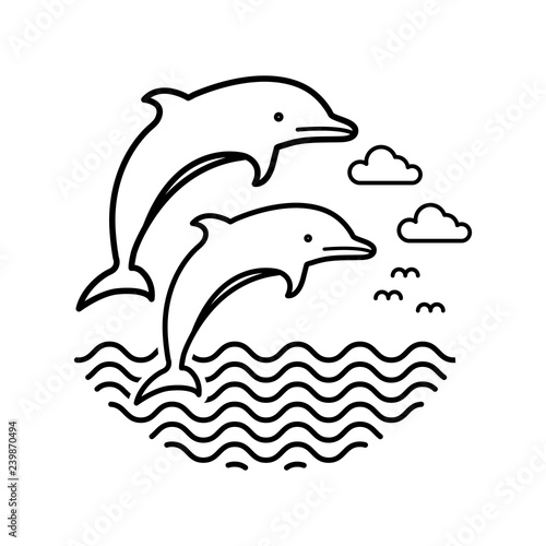 dolphin design vector