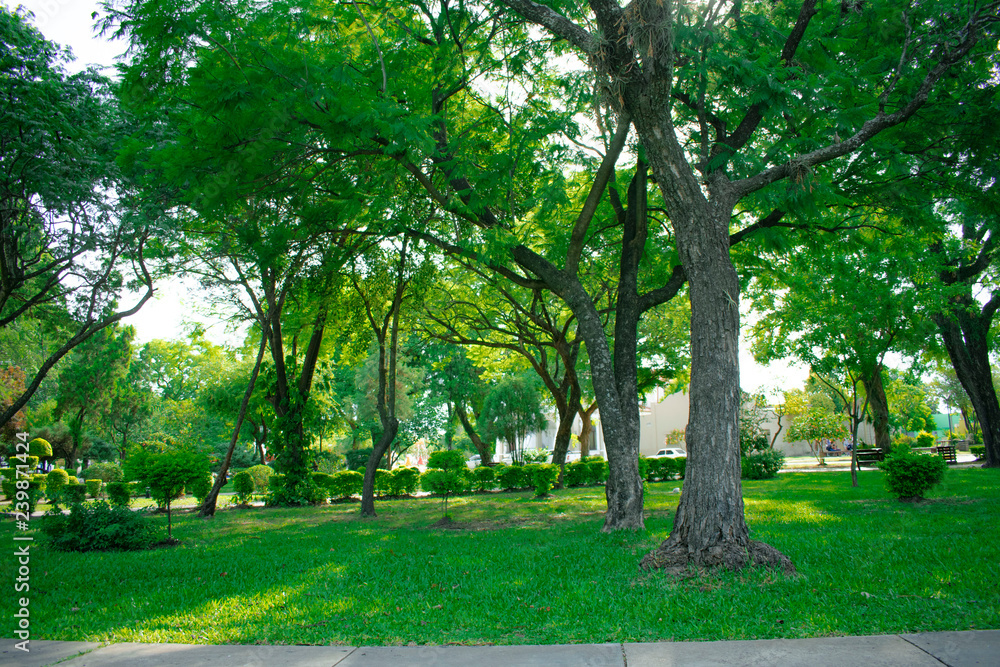 Plaza de la Ciudad de Machagay