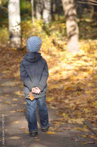 boy in autumn park