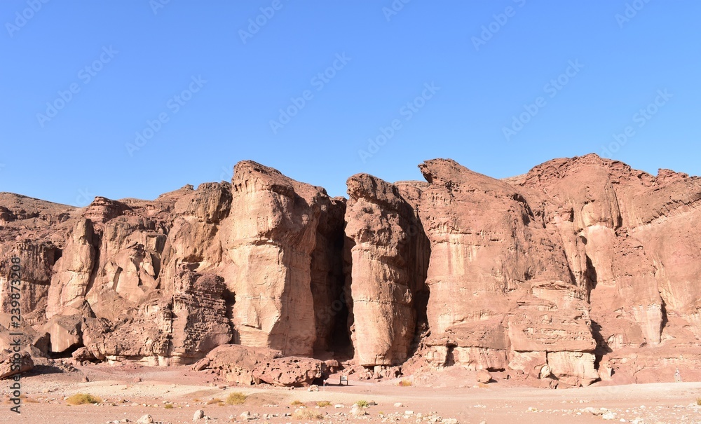 Fototapeta premium israeli nature timna