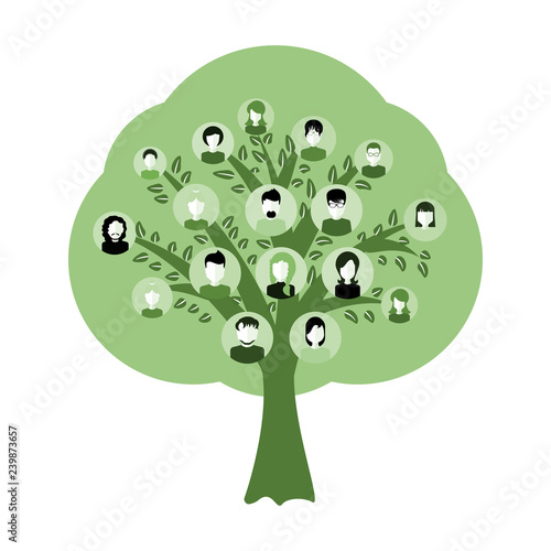 Genealogy tree for dna ancestors illustration isolated