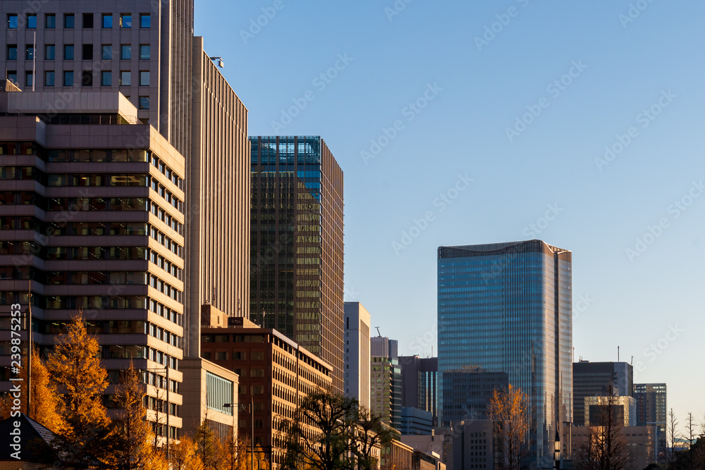 東京の高層オフィスビル街