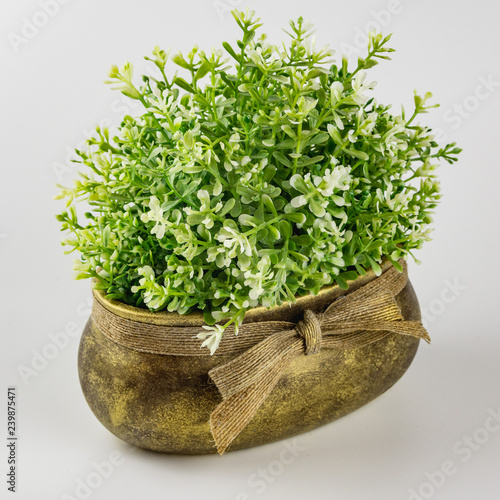 artificial plant in old flowerpots on white background