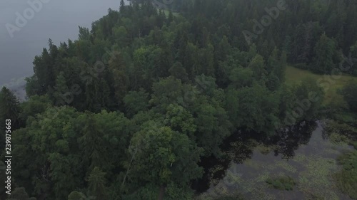 Aerial survey Mon Repos park in Old Vyborg, Russia, Monrepos north footage. Aerial footage forest panoramas foggy thick north forest, Island the Dead Mon Repos park. aerial video coniferous, pine tree photo