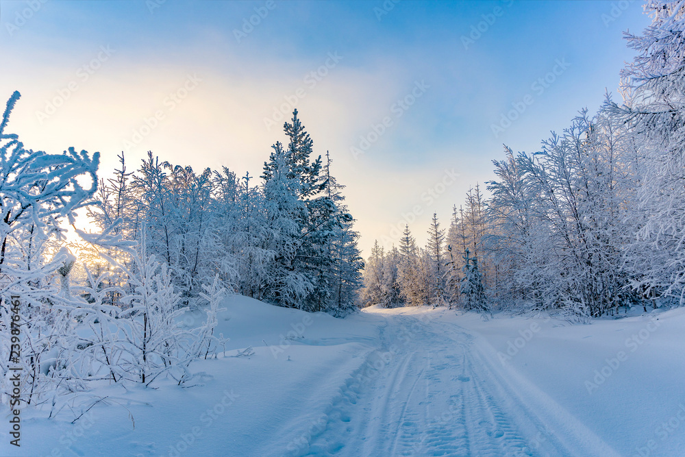 Fototapeta premium Winter landscape. Yamalo-Nenets Autonomous district.