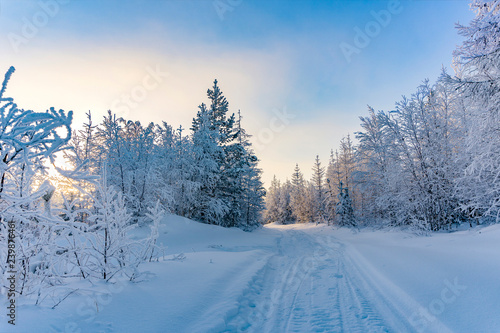 Winter landscape. Yamalo-Nenets Autonomous district. © Nikolay Beletskiy