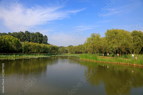 Fototapeta Naklejka Na Ścianę i Meble -  pond natural scenery, China