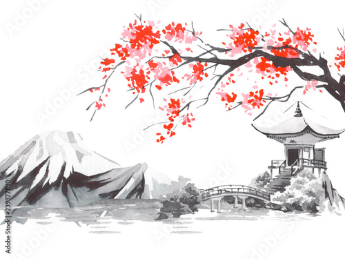 Japan traditional sumi-e painting. Fuji mountain, sakura, sunset. Japan sun. Indian ink illustration. Japanese picture.