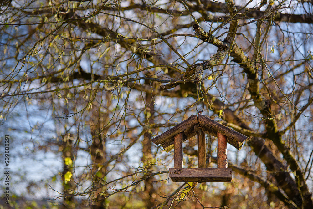 Wooden bird feeder in the foreground hanging from the bare tree branches, shallow depth of field, partially blurred tree branches in the background Wooden bird feeder in the foreground hanging from the bare tree branches, shallow depth of field, partially blurred tree branches in the background