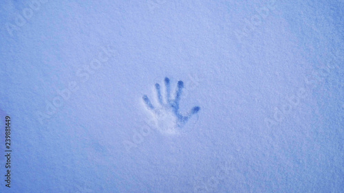 Принти на полотні trail of a human hand palm on snow top view