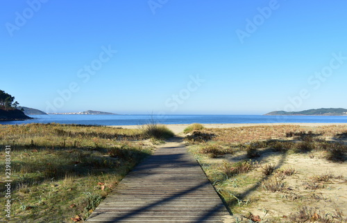 Beach with boardwalk  grass and vegetation in sand dunes. Blue sea  sunny day  clear sky. Galicia  Spain.