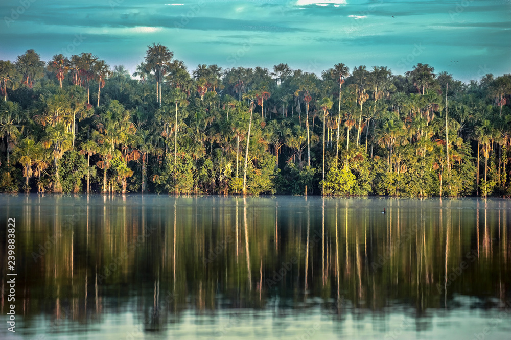 Reflections of forest trees in the tranquil lake of Sandoval, Peru