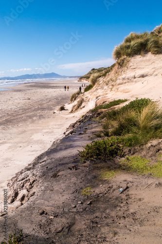 Cradle Coast - Dünen im Vordergrund und blaue Berge im Hintergrund