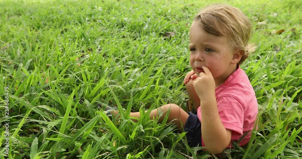 Boy sitting in the grass outside. He is wearing a red shirt side view. The child thought and wind blows his hair Boy sitting in the grass outside. He is wearing a red shirt side view. The child thought and wind blows his hair