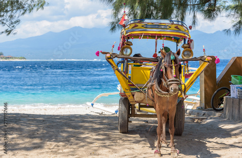 Work horse at the island of Gili Tranwagan, Lombok. 