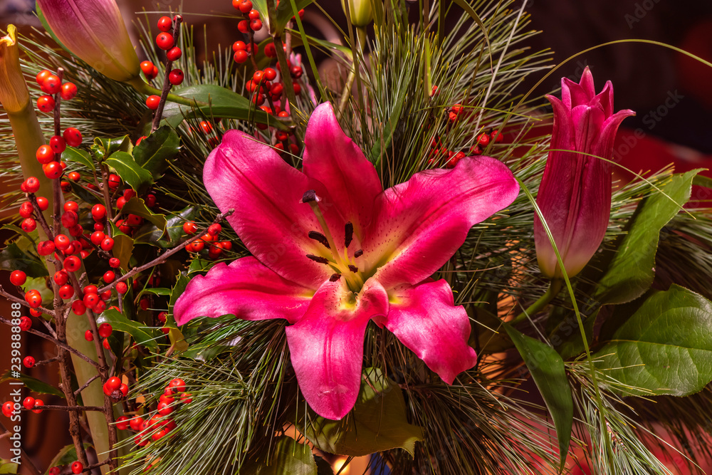 Φωτογραφία Closeup image of a bouquet of pink lilies (Lilium) and branches of holly (Ilex) with small red berries