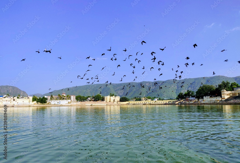 Evening click of Pushkar Lake(Rajasthan)of Flying birds.