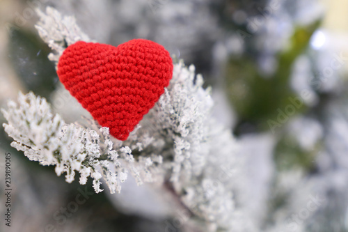 Valentines heart in the snow on fir branches, red knitted symbol of love. Valentine's day, concept of romantic holiday, Christmas celebration, winter weather