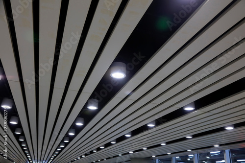 Ceiling of the hall