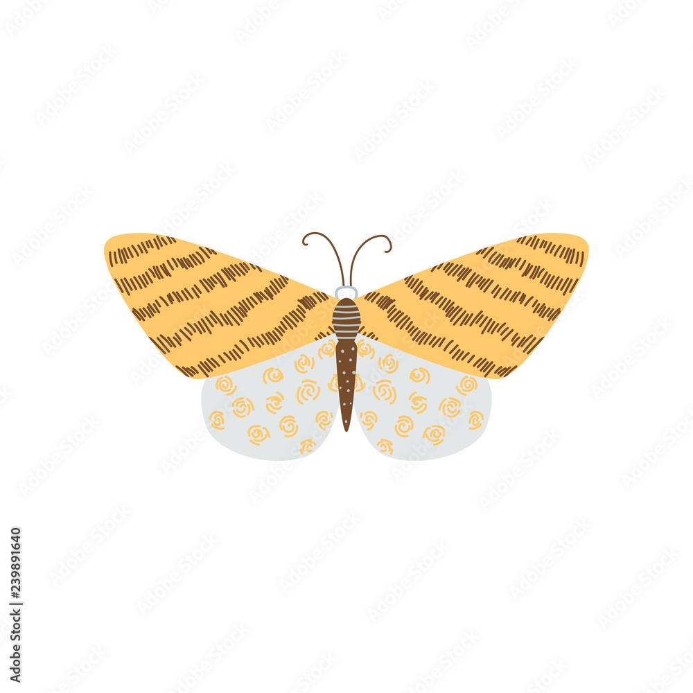Beautiful, multi-colored butterfly with an unusual shape of the wings and patterns on them. Beautiful, multi-colored butterfly with an unusual shape of the wings and patterns on them.