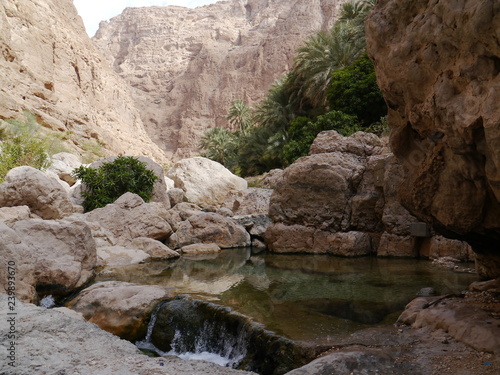 idyllic view on valley with palm trees and natural pool surrounded by massive mountains, near oasis Wadi Shab, Oman, Middle East