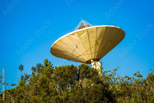 Satellite dish in the forest with sighns of rust photo