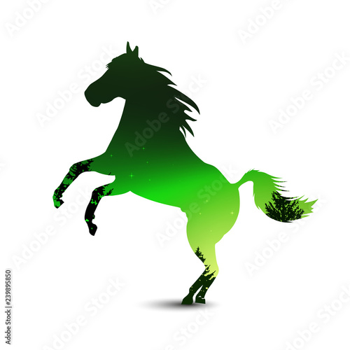 Silhouette of horse with pine forest on the background of colorful sky.  Northern lights. Green and black tones.