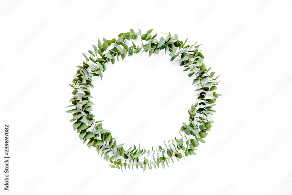 Wreath frame made of branches eucalyptus isolated on white background. lay flat, top view Wreath frame made of branches eucalyptus isolated on white background. lay flat, top view