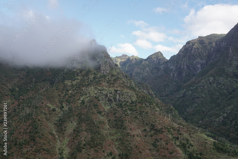 Landschaft Madeira Portugal