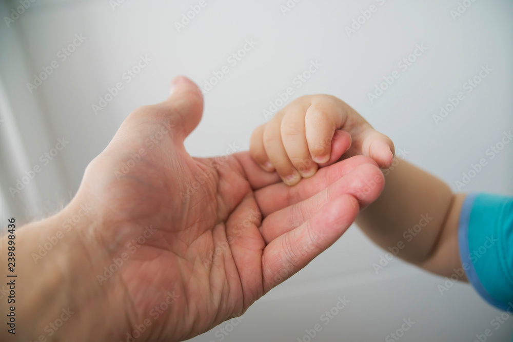 the child's hand in the parent's hand the child's hand in the parent's hand