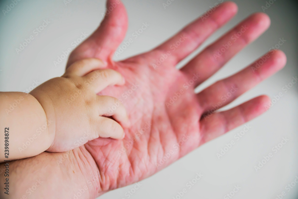 Fototapeta premium the child's hand in the parent's hand