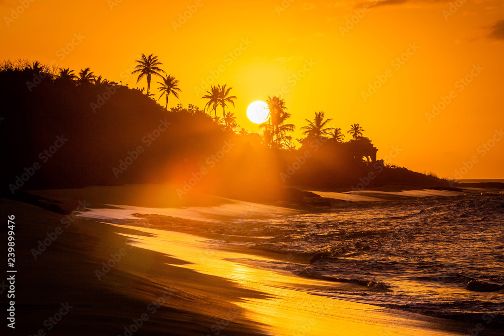 Tropical sunset at the beach with palms