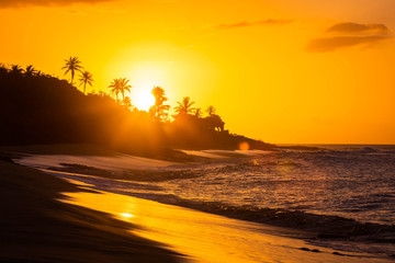 Keuken achterwand Strand zonsondergang Tropische zonsondergang met palmen  © PhotoSpirit