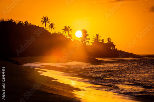 Tropical sunset at the beach with palms © PhotoSpirit