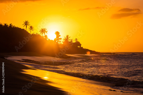 Fototapeta Naklejka Na Ścianę i Meble -  Tropical sunset at the beach with palms