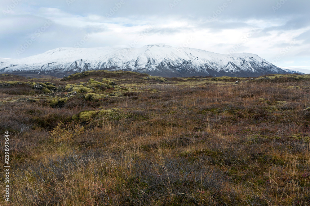 an abandoned landscape in Iceland, in the background of a snowy mountain