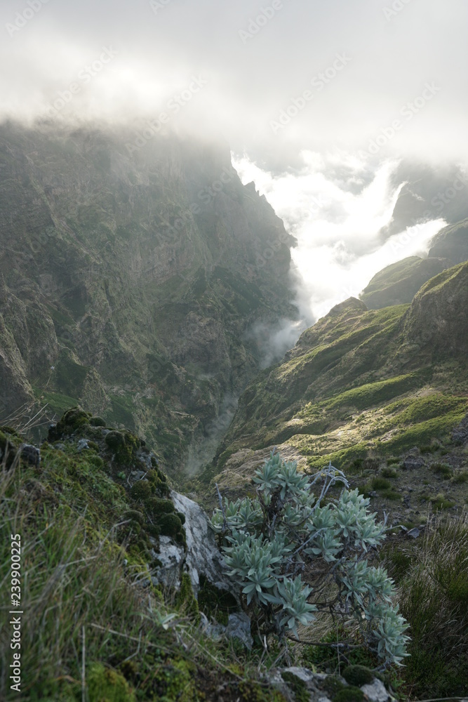 Pico do Areiro Madeira Portugal