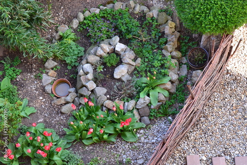 Permacultural element - herb spiral in spring season