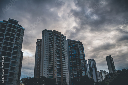 skyscrapers in the city