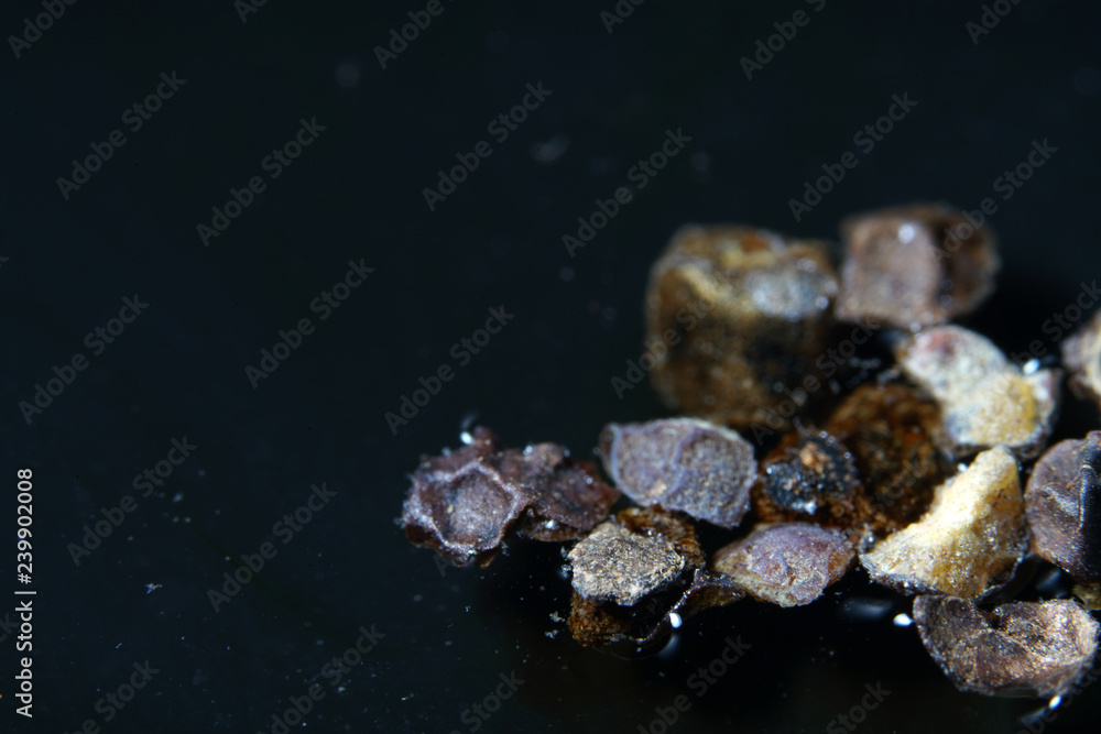 The fruits of black pepper are not always black, depending on the harvest time and further treatment, the peppercorns have different colors The fruits of black pepper are not always black, depending on the harvest time and further treatment, the peppercorns have different colors