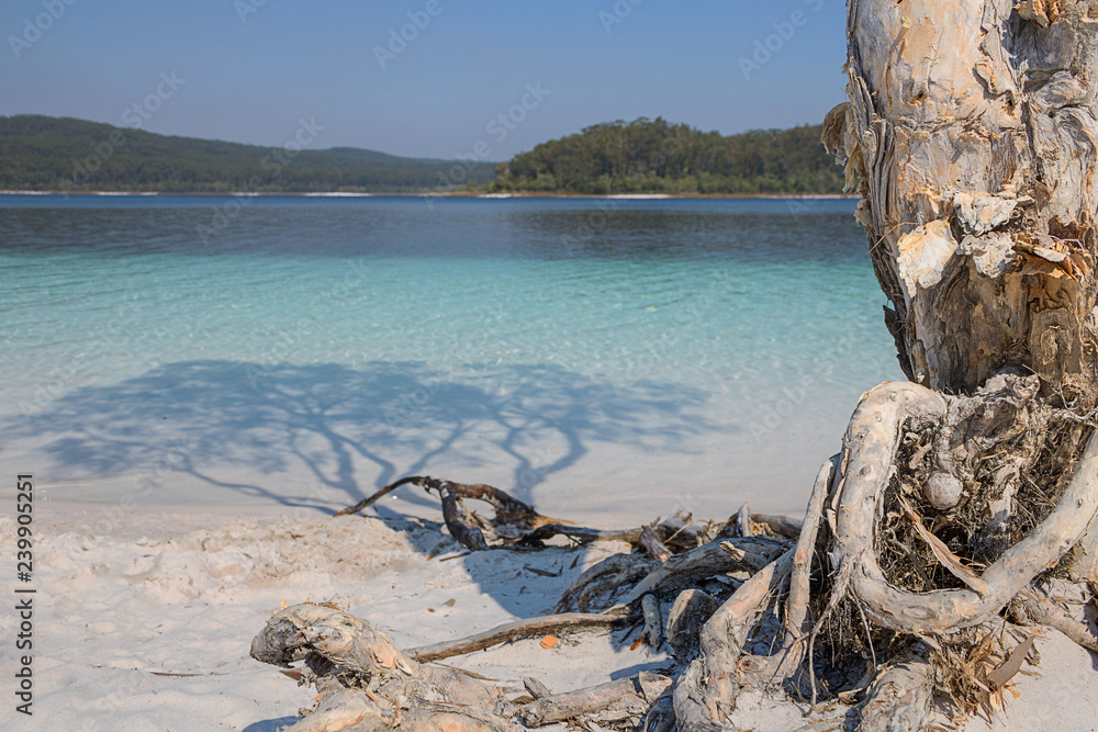 Fototapeta premium Fraser Island, Lake Mckenzie 