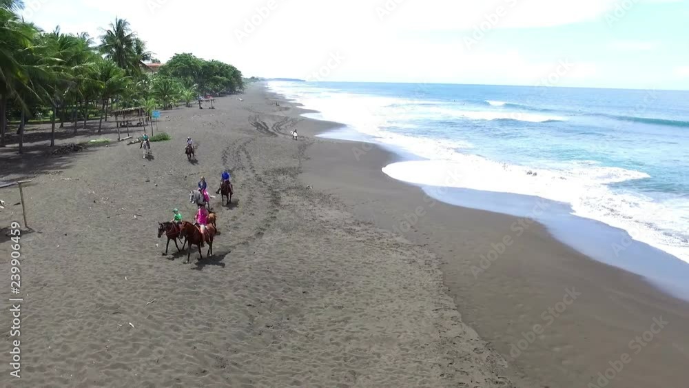Family riding horses on the seashore aerial drone view. Horse ride on the white sands of the beach aerial drone view. Riding on horseback by the sea. Family riding horses on the seashore aerial drone view. Horse ride on the white sands of the beach aerial drone view. Riding on horseback by the sea.